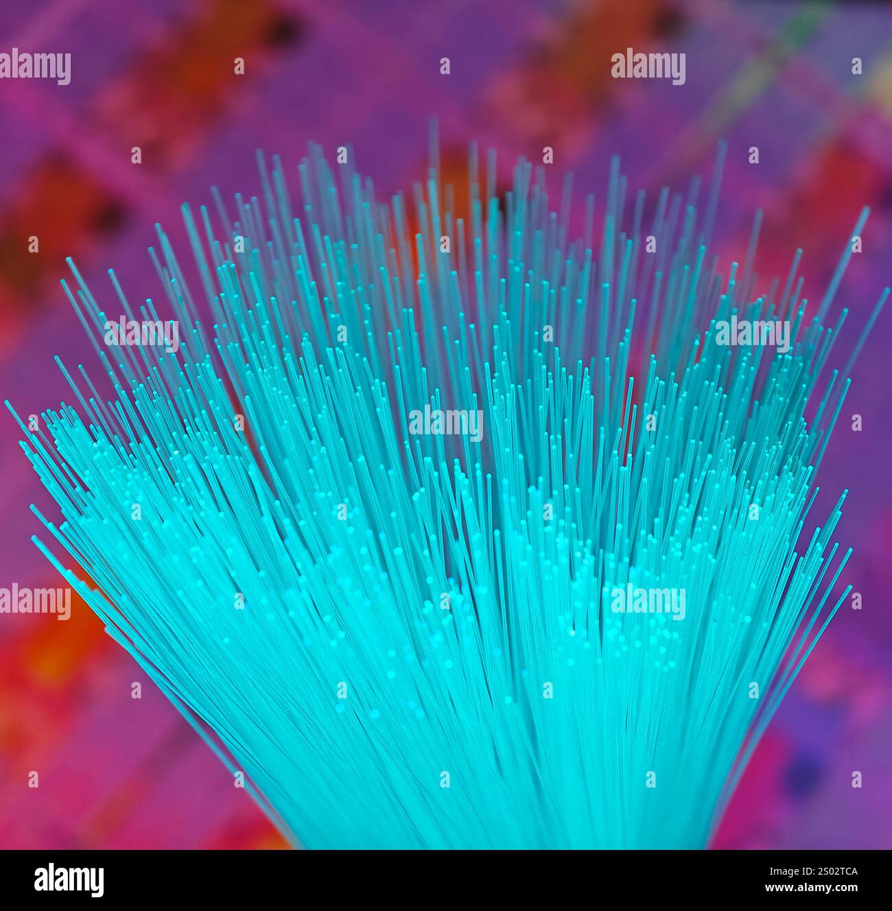 optical fibres dinamic flying from deep on technology background Stock Photo