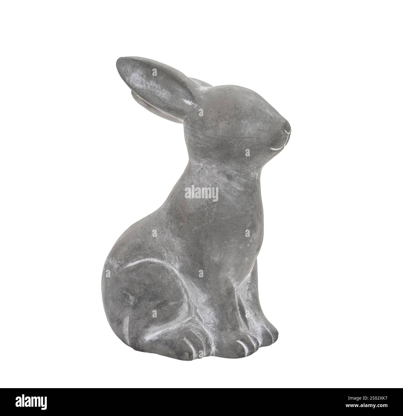 肉質画　Rabbit サインあり　箱あり 肉質画 Rabbit サインあり 箱あり 肉質画 Rabbit サインあり 箱