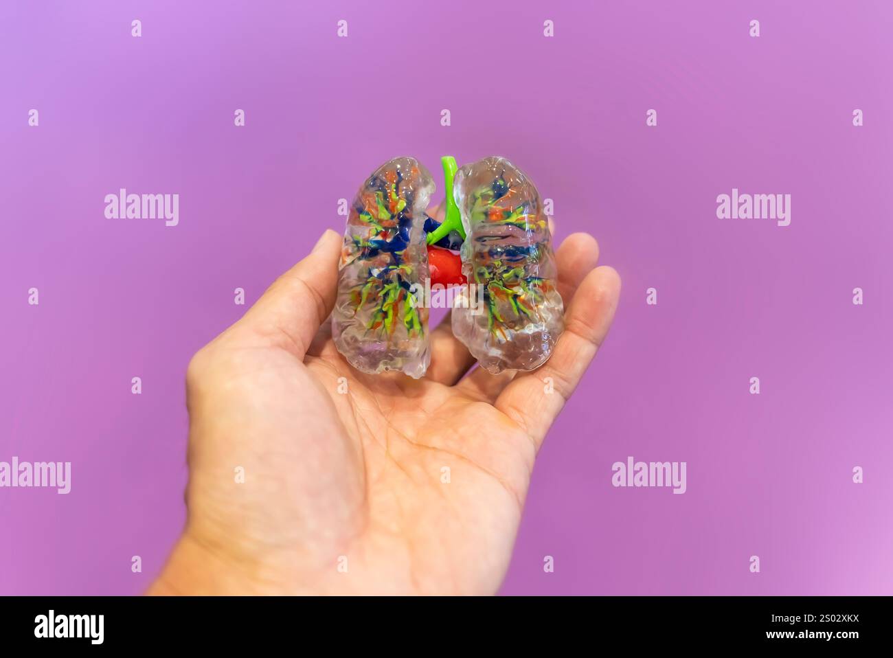 hand with object in shape of medically accurate a human heart printed on 3d printer Stock Photo