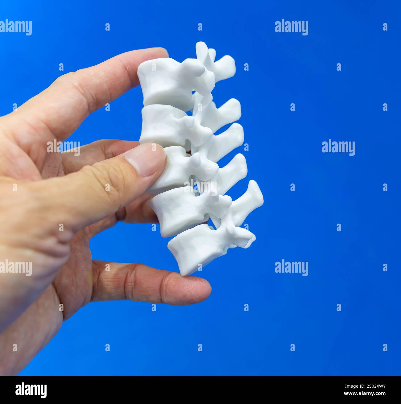 hand with 3d printed human spine in 3d printer. Stock Photo