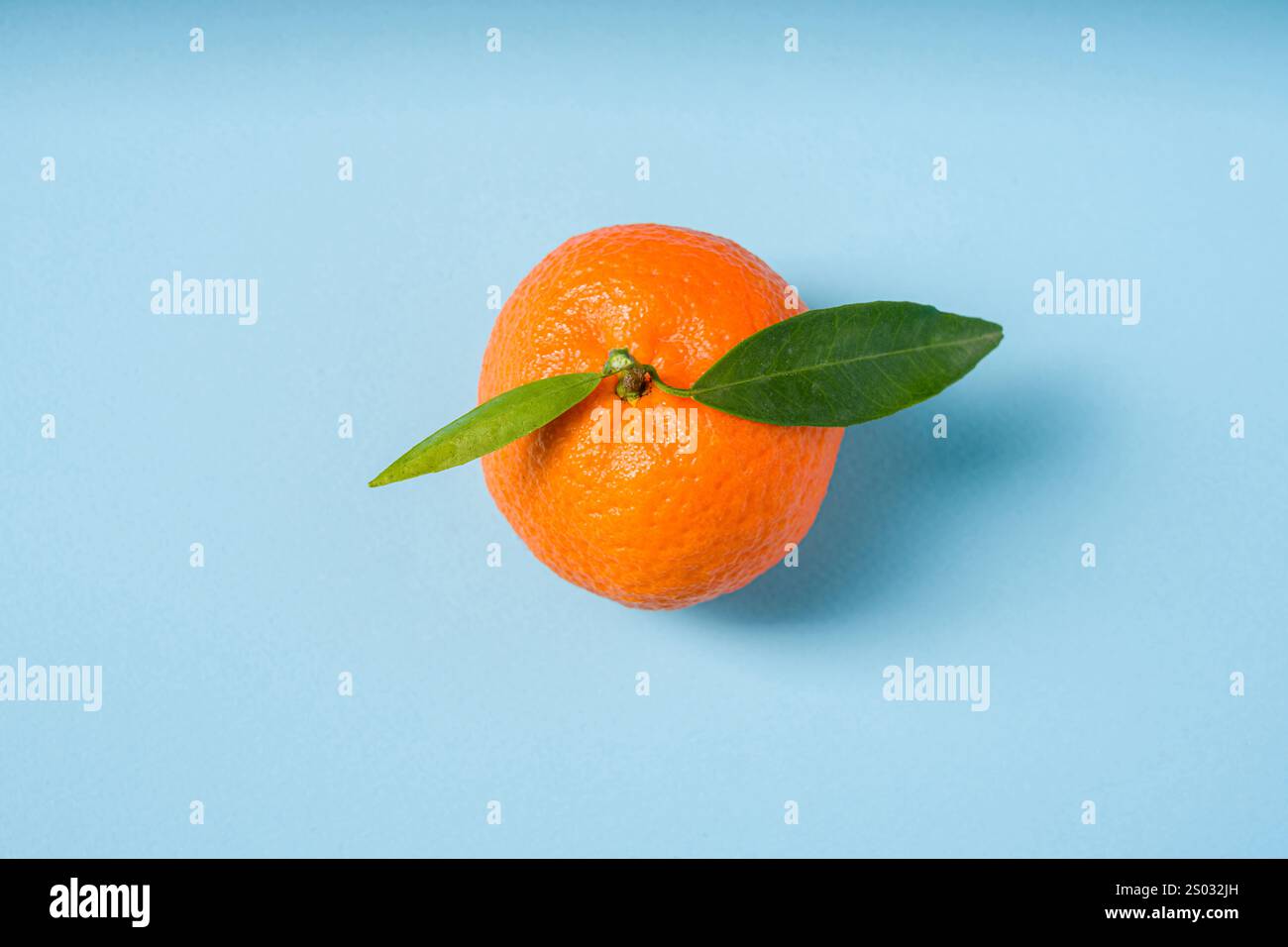 Top view of fresh organic tangerine on blue background Stock Photo
