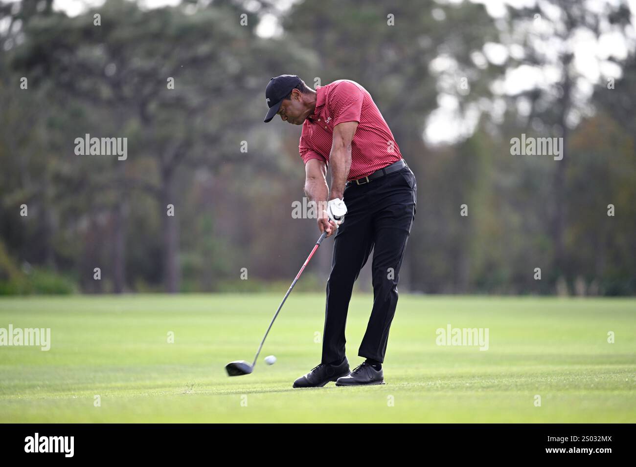 Tiger Woods hits from the 14th fairway during the final round of the