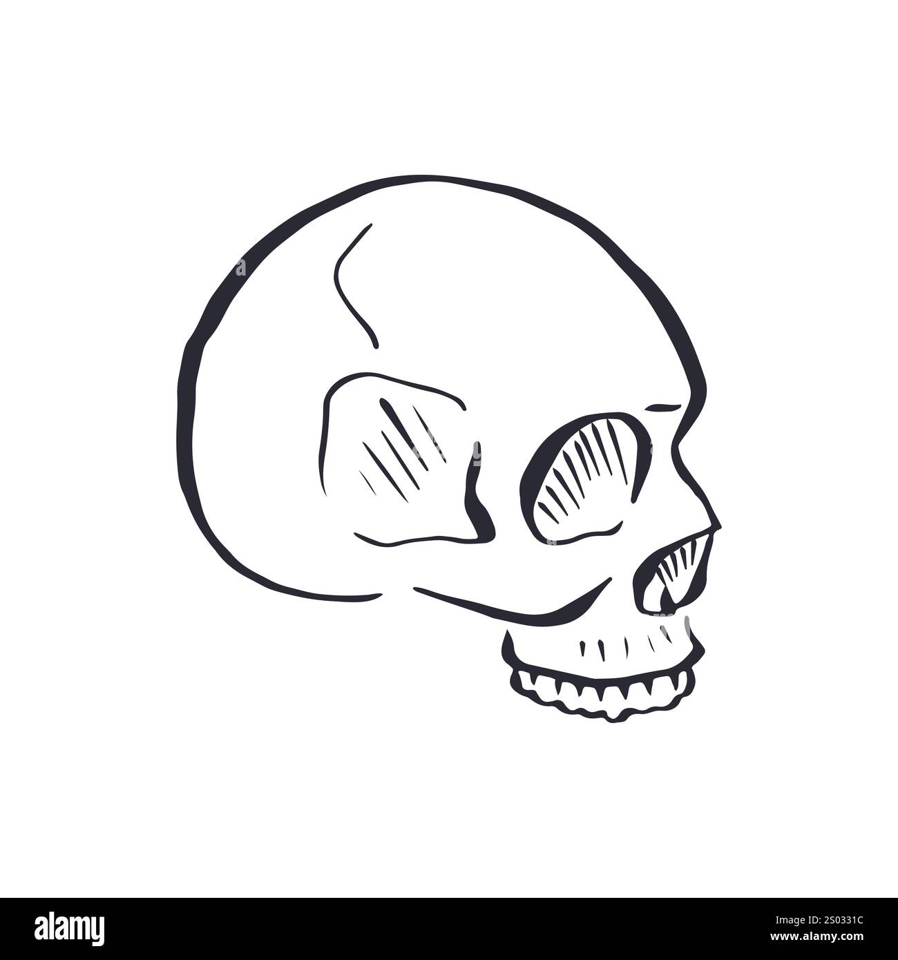 Hand drawn black and white line art human skull Stock Vector Image ...