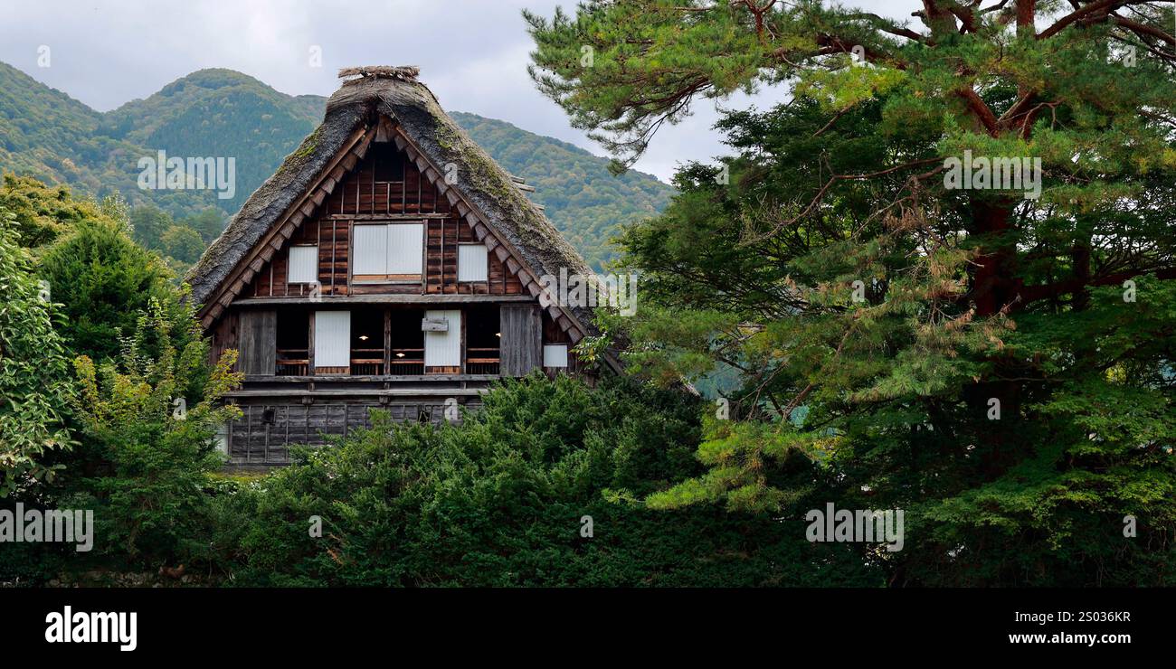 Minka japanese hi-res stock photography and images - Alamy