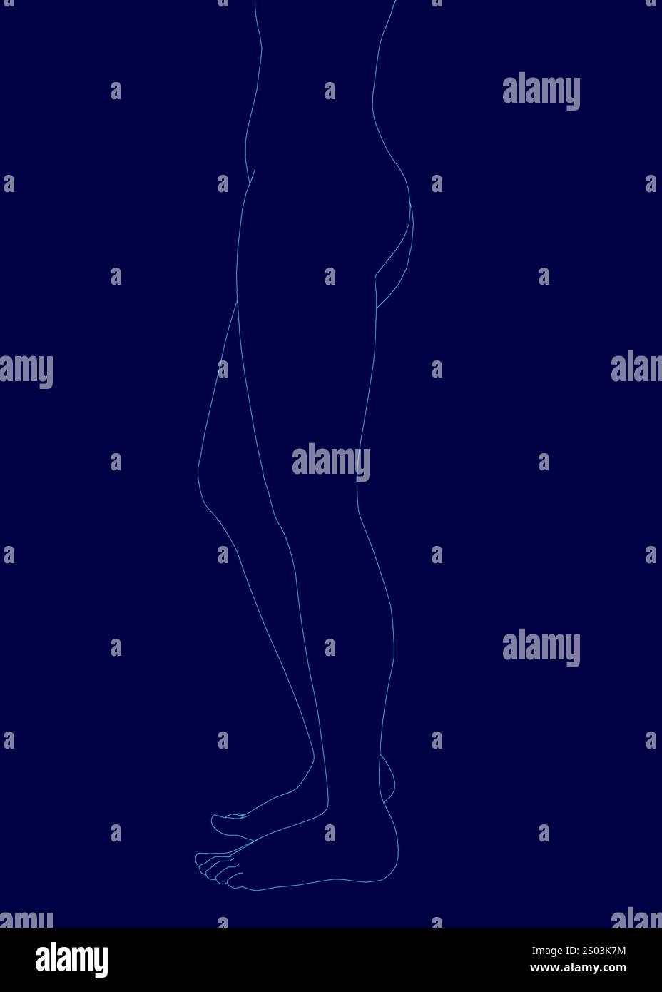 Blue background with a blue outline of a woman's legs. The legs are ...