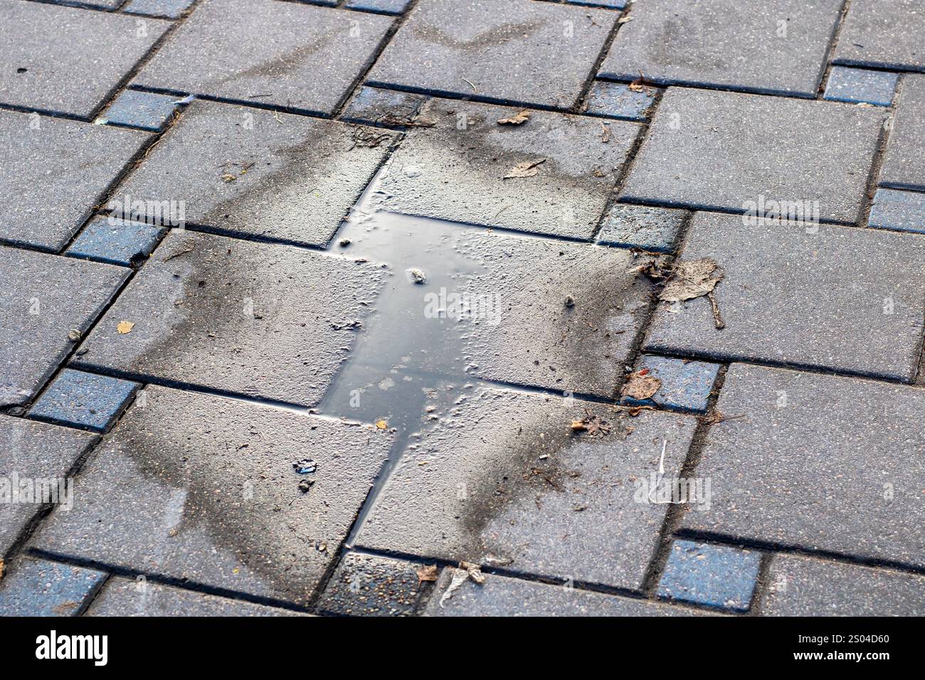 A small puddle of water is sitting quietly on a surface of a brick ...
