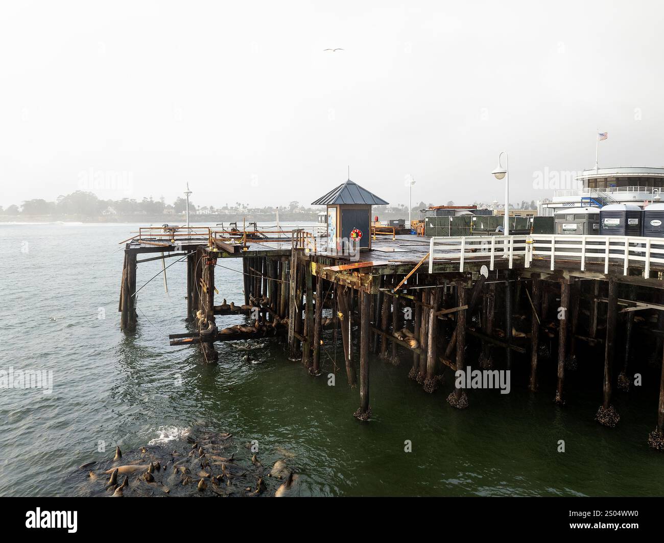 Santa Cruz, USA. 24th Dec, 2024. SANTA CRUZ, CA - DECEMBER 24: Aerial ...