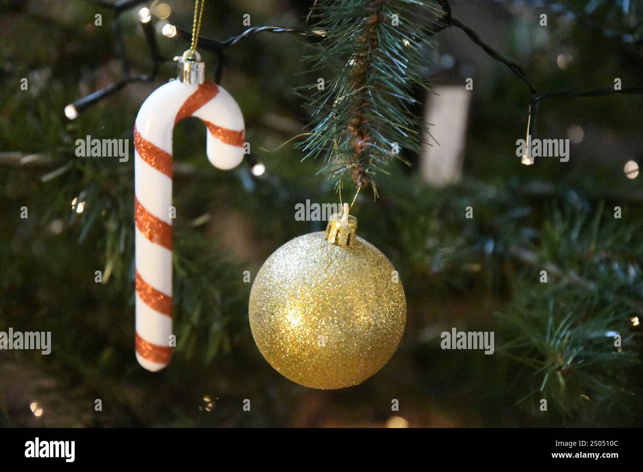 Copenhagen/ DenmarK/24 DECEMBER 2024/ Christmas celebration on