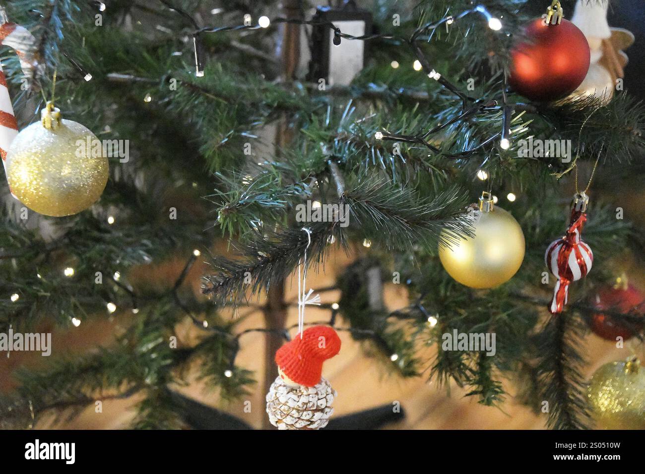 Copenhagen/ DenmarK/24 DECEMBER 2024/ Christmas celebration on