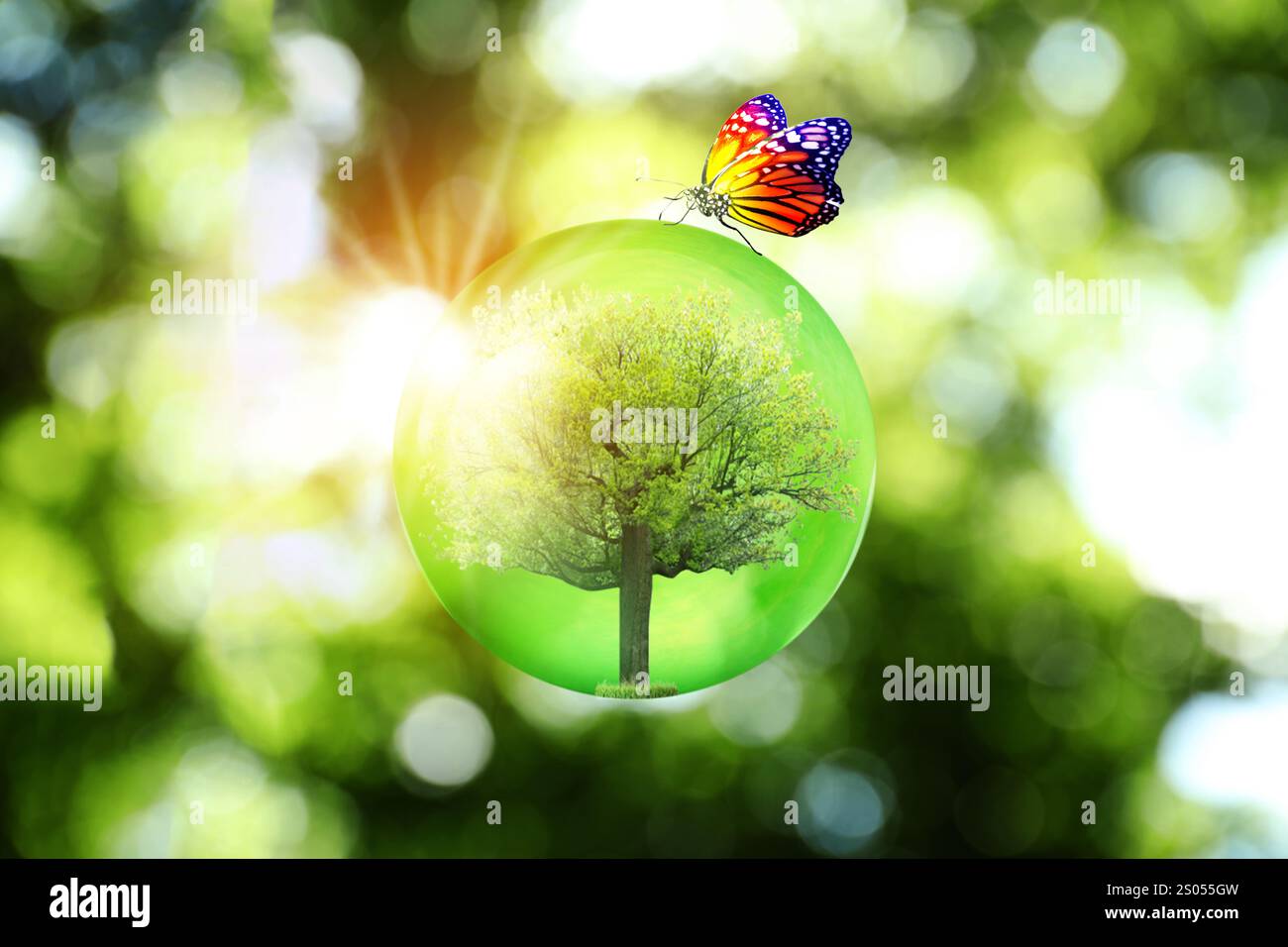 Save Earth. Butterfly on crystal globe with tree inside outdoors Stock Photo
