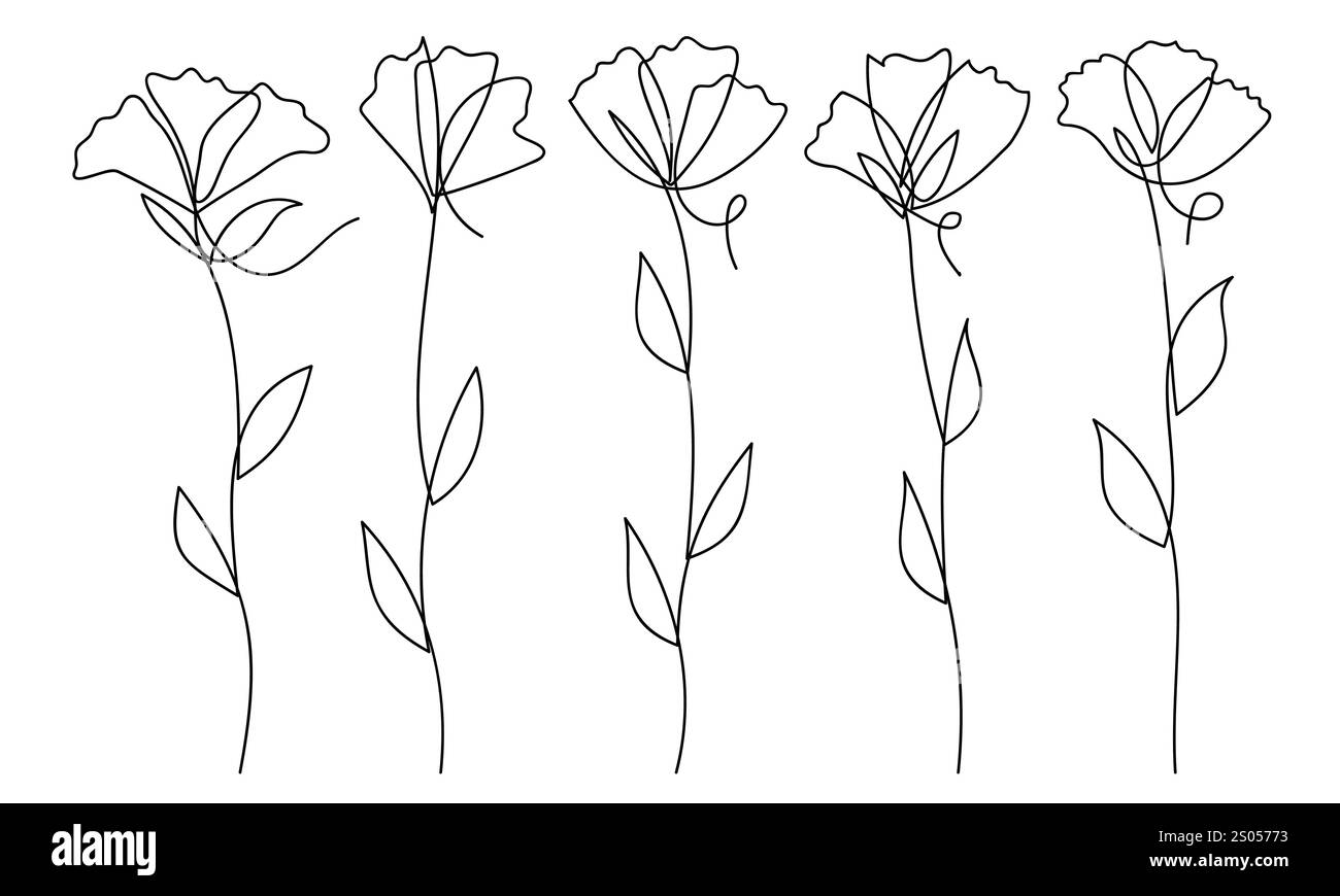 Minimalist Botanical Flower Collection - Single Line Art Vector Stock ...