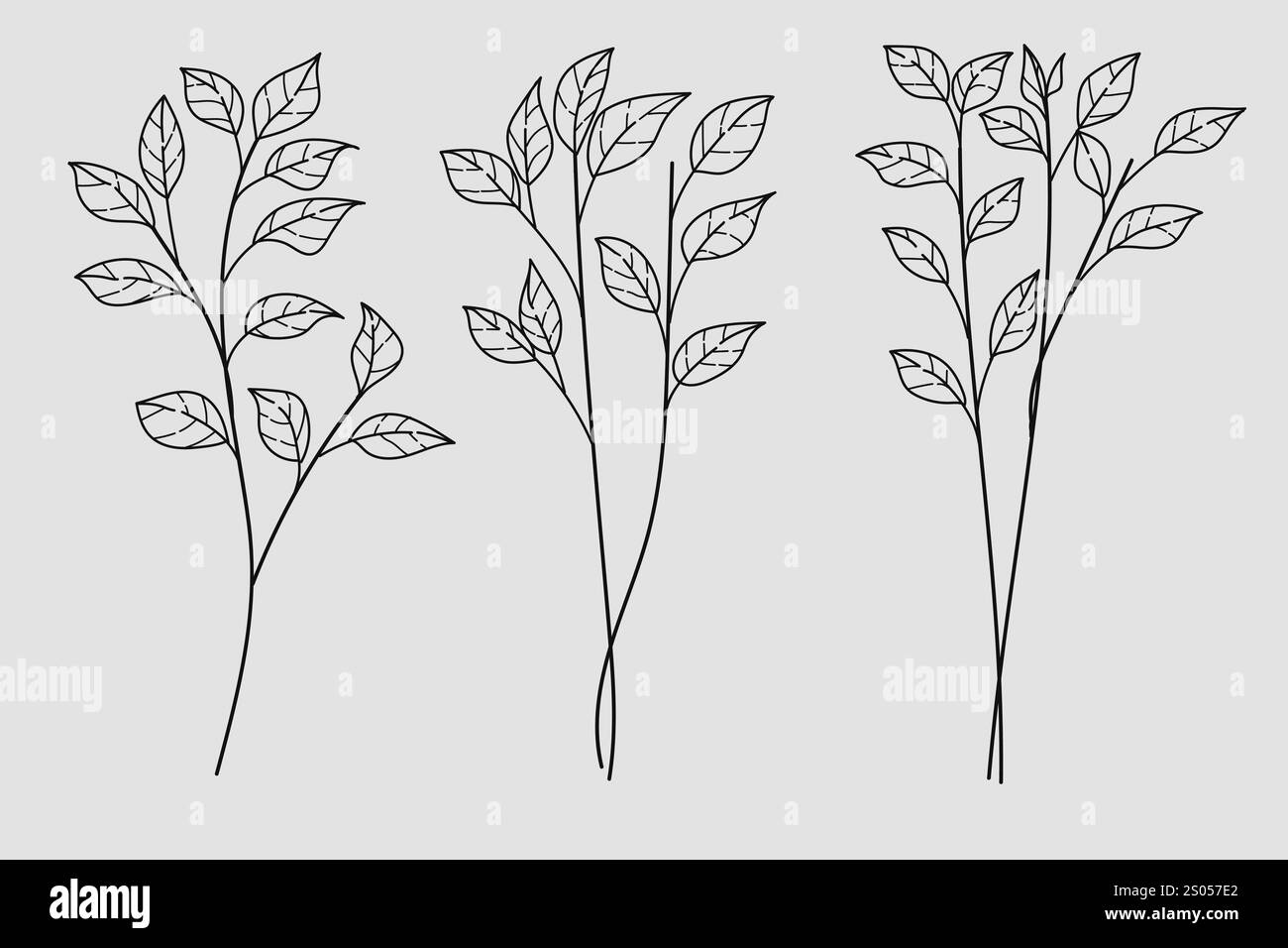 Set Hand Drawn Leaves and Branches on White Isolated Background ...