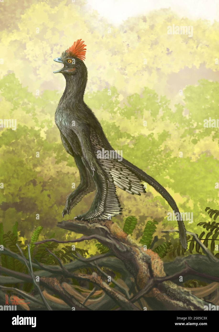 illustration-of-an-anchiornis-huxleyi-dinosaur-singing-this-cros-sized