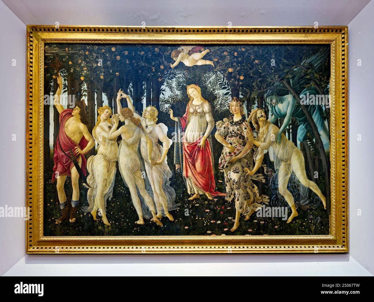Uffizi museum primavera hi-res stock photography and images - Alamy