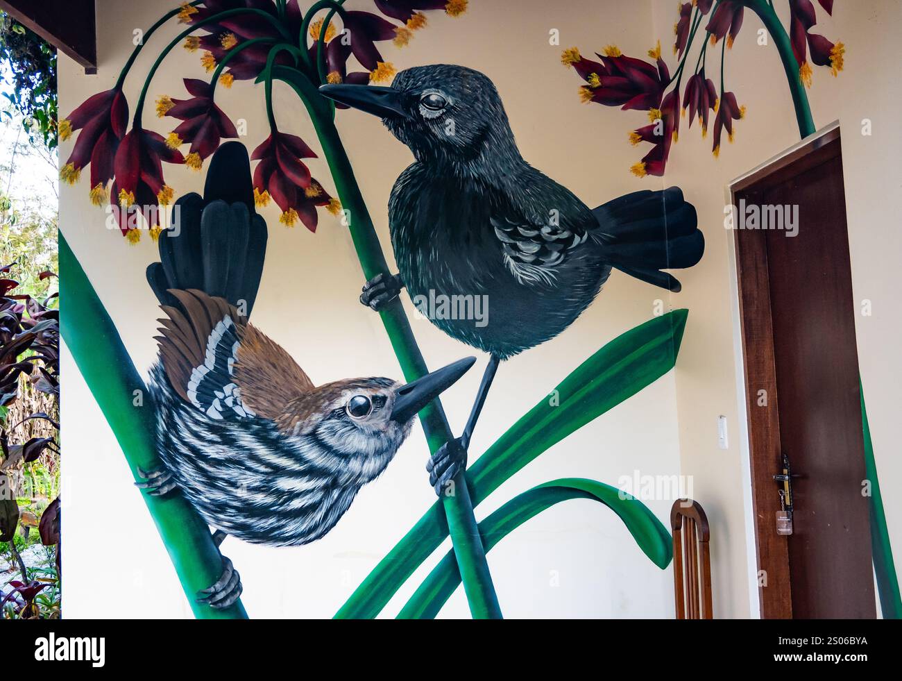 Painting of a pair Marsh Antwrens (Formicivora acutirostris) on a wall. Brazil. Stock Photo