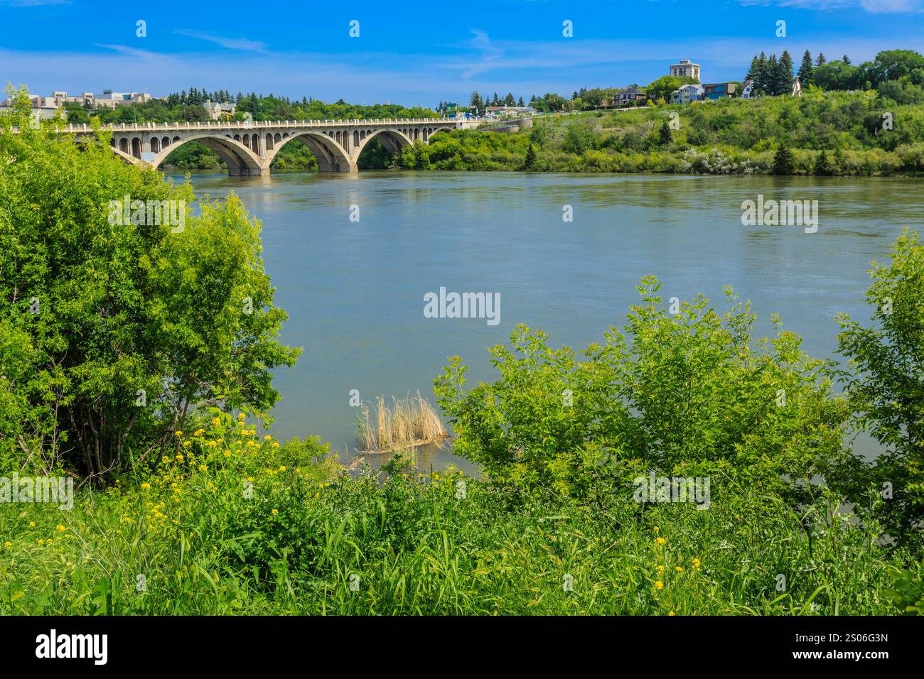 A bridge spans a river with a green forest on either side. The water is ...