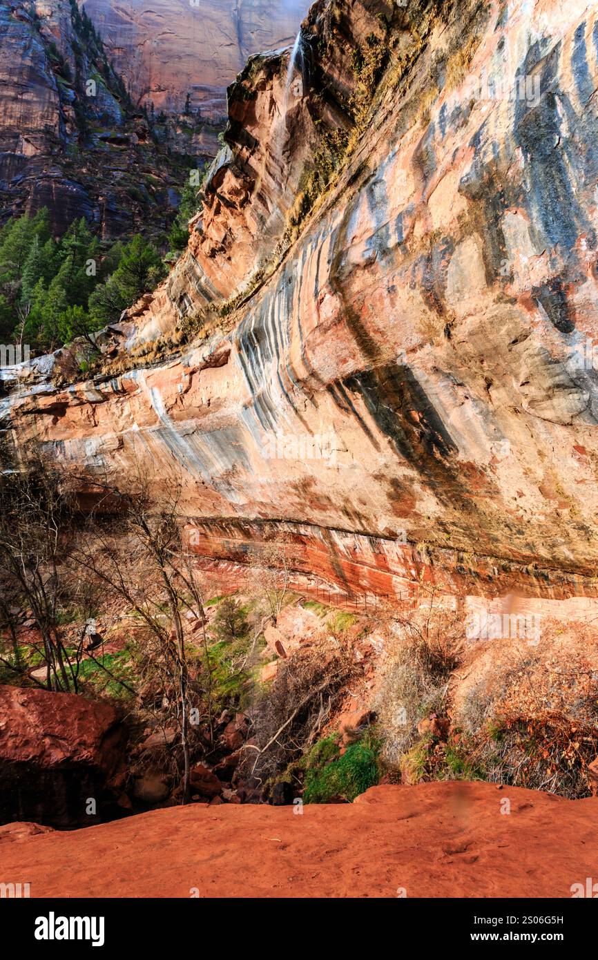 A rocky cliff with a tree growing out of it. The cliff is brown and the tree is green Stock Photo