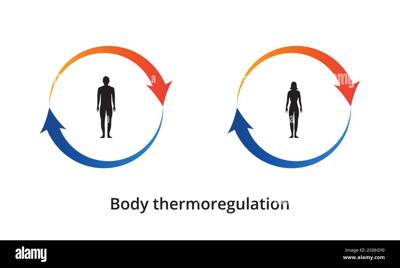 Body thermoregulation icon. Body heat retention. Human body silhouette ...