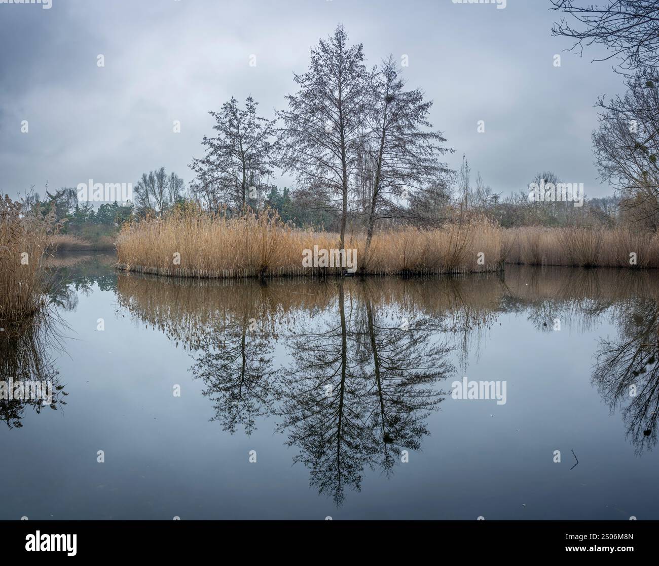 Gennevilliers, France - 12 25 2024: Chanteraines park. Nature in winter ...