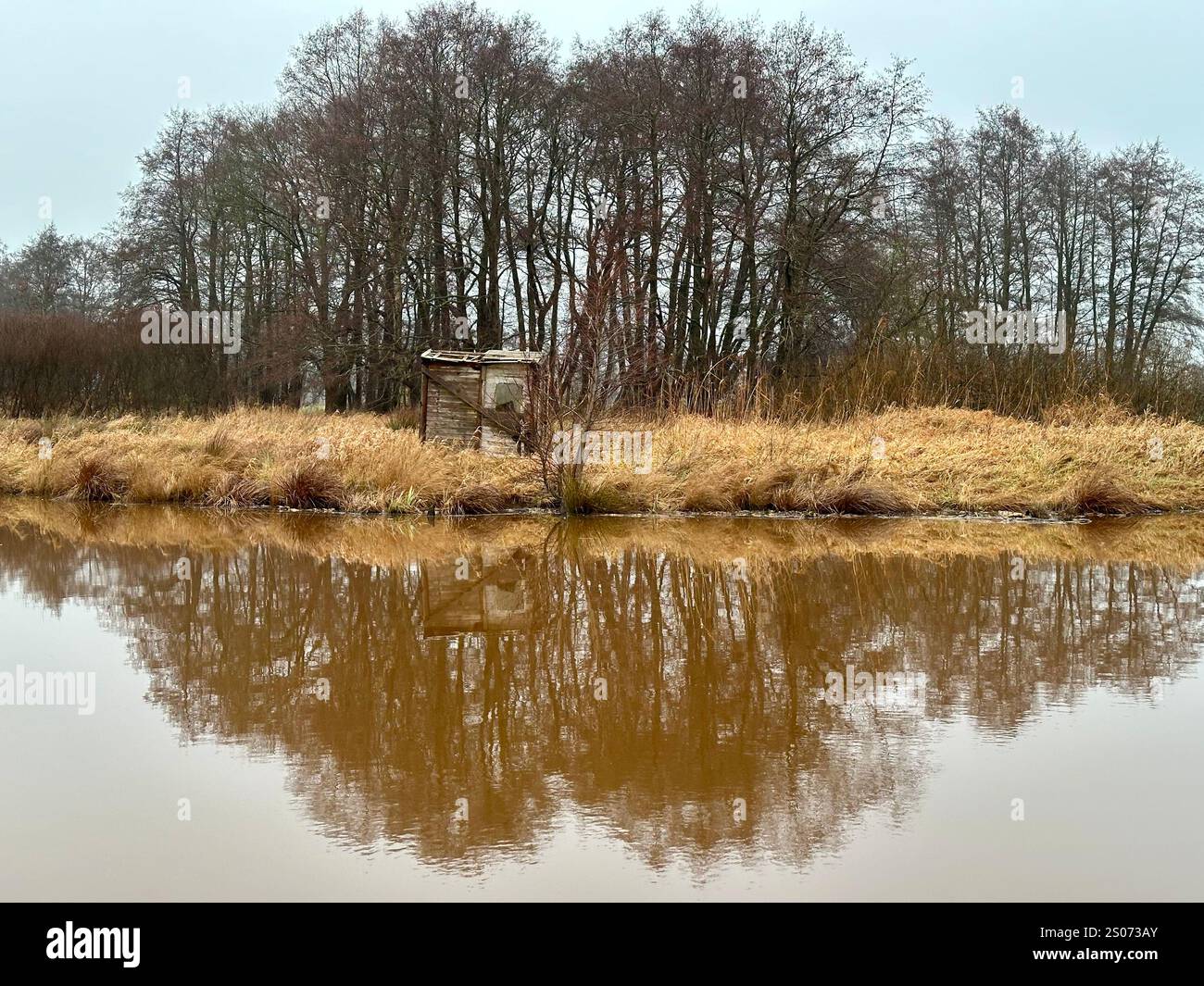 Impressions of the landscape called Truper Blaenken, a former moor, marsh and swamp close to Bremen, in winter, Germany - Smartphone Captured Stock Image