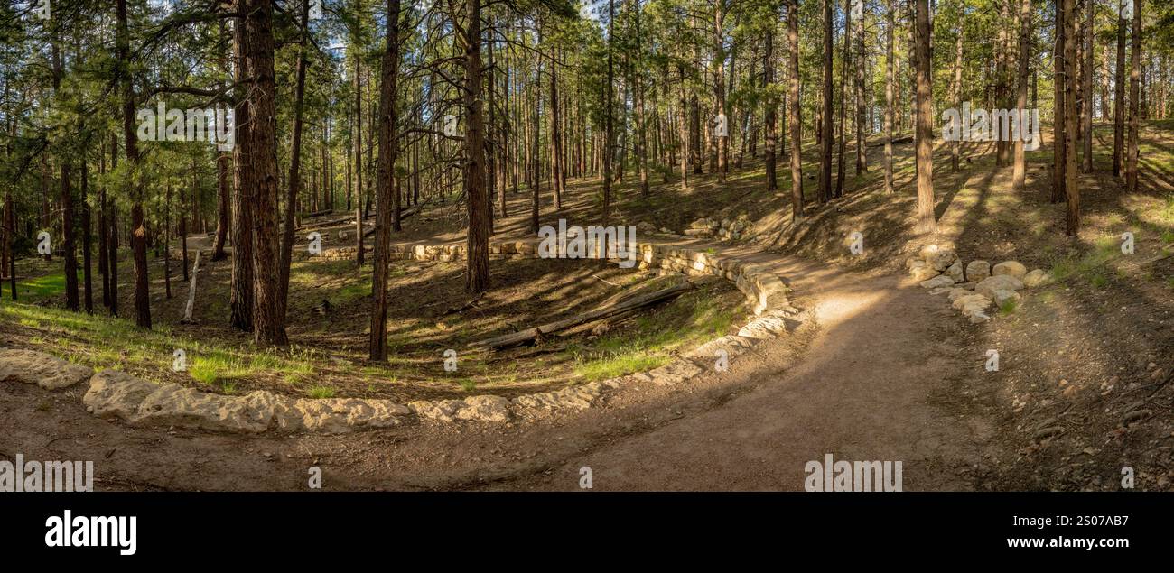 Sweeping Curve Along The Bridal Trail Along The North Rim Of Grand Canyon National Park Stock Photo