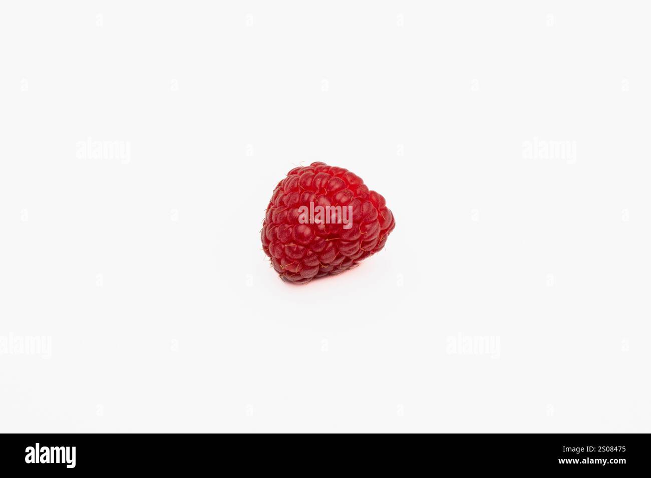 Single Raspberry Isolated on White Background - Fresh and Vibrant Stock Photo Stock Photo