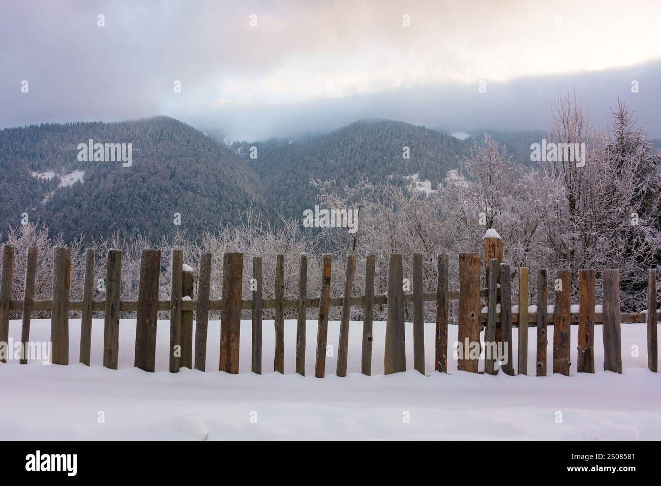 countryside landscape in winter. beautiful view. wooden fence through snow covered hill. wintry wonderland Stock Photo