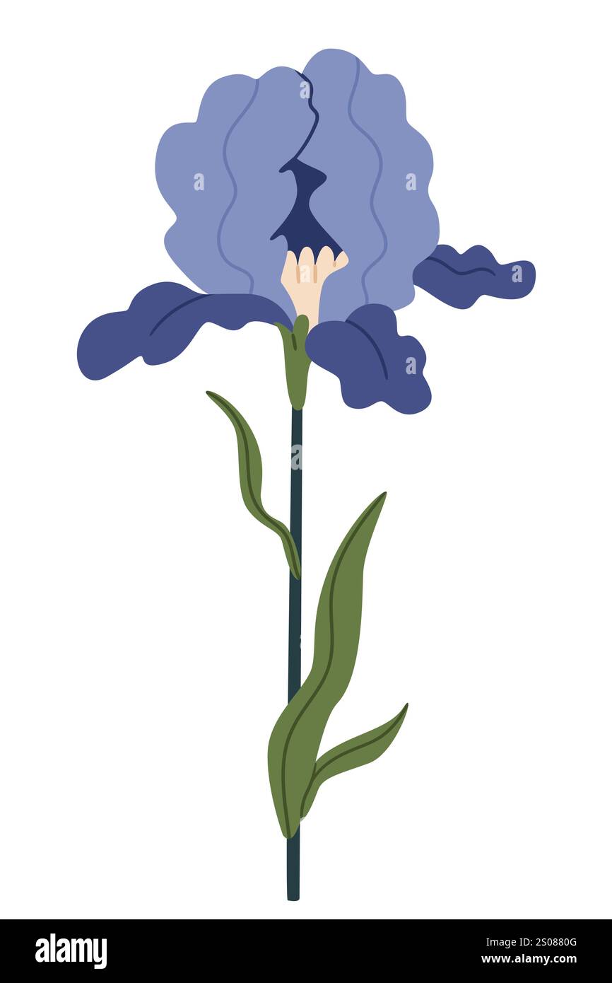 Beautiful iris flower on a white background. Stock Vector