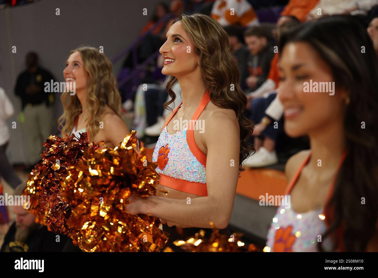 CLEMSON, SC - DECEMBER 21: Clemson Rally Cats during a college ...