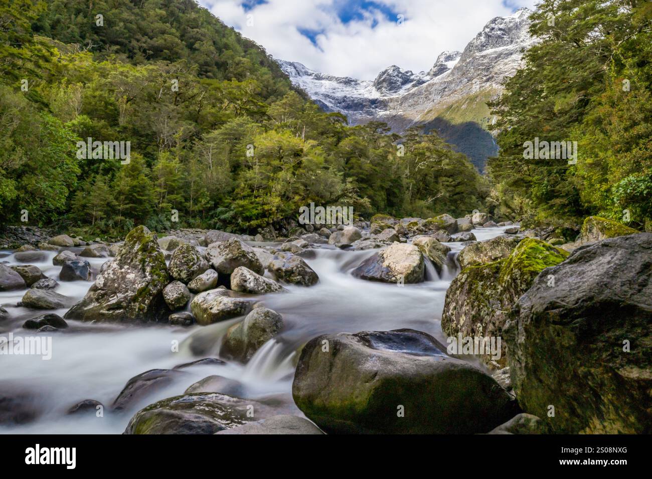 Donner River Bridge New Zealand Stock Photo