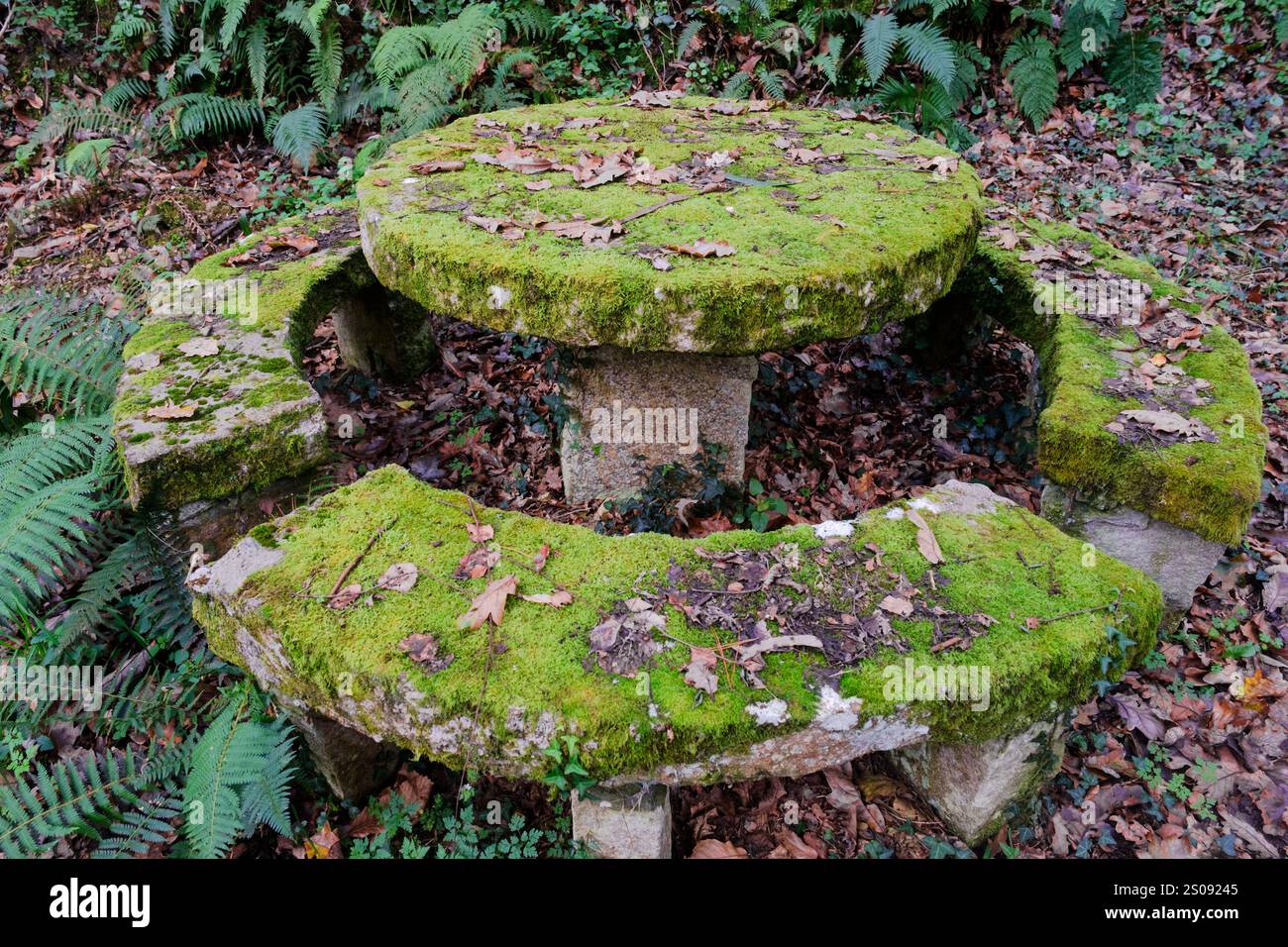 Rustic scenes along the railway route walk in A Pontenova, Lugo ...