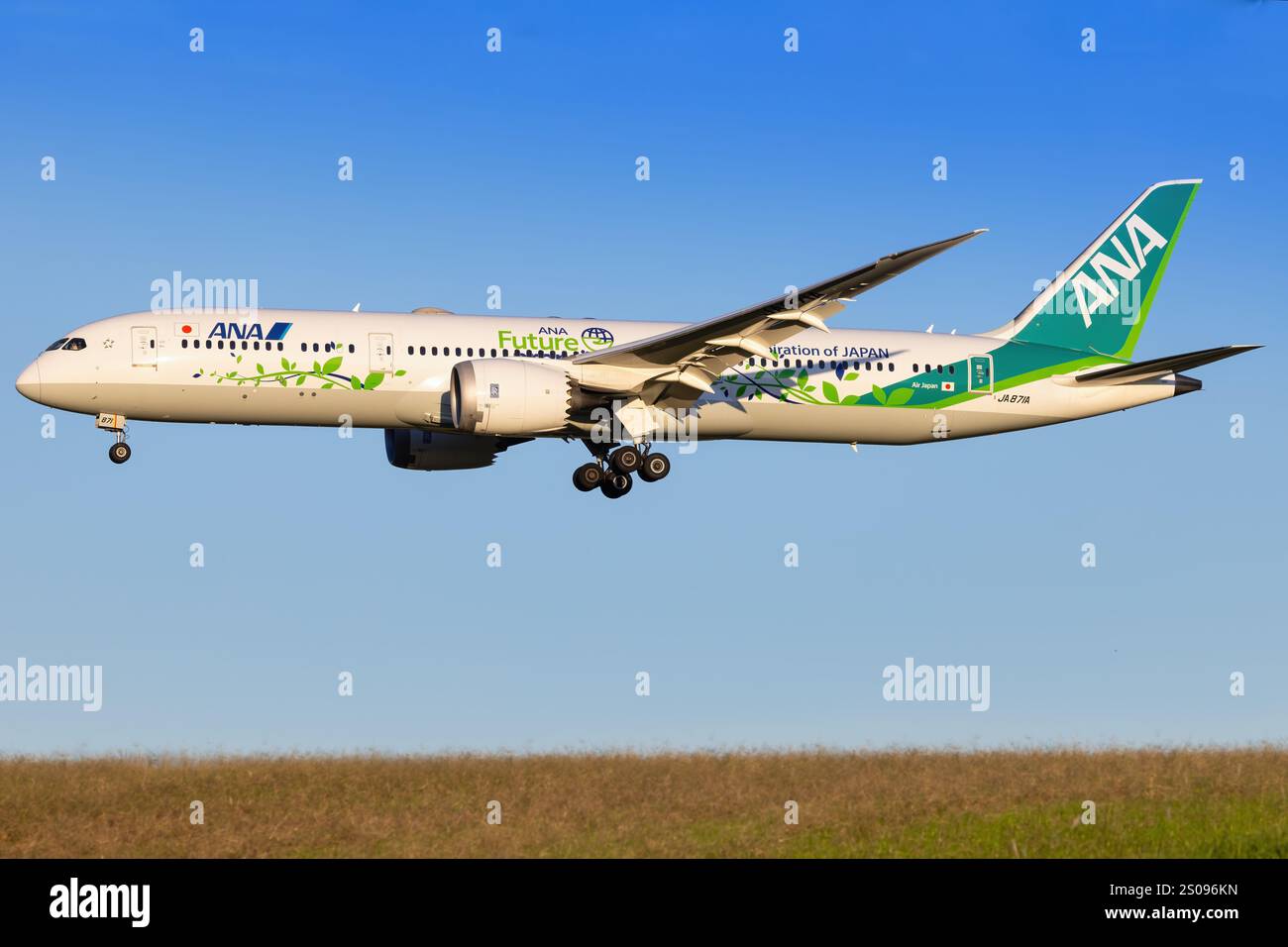 1/200 B787-8 ANA SpecialMarking JA801A [NH20041] 全日空商事
