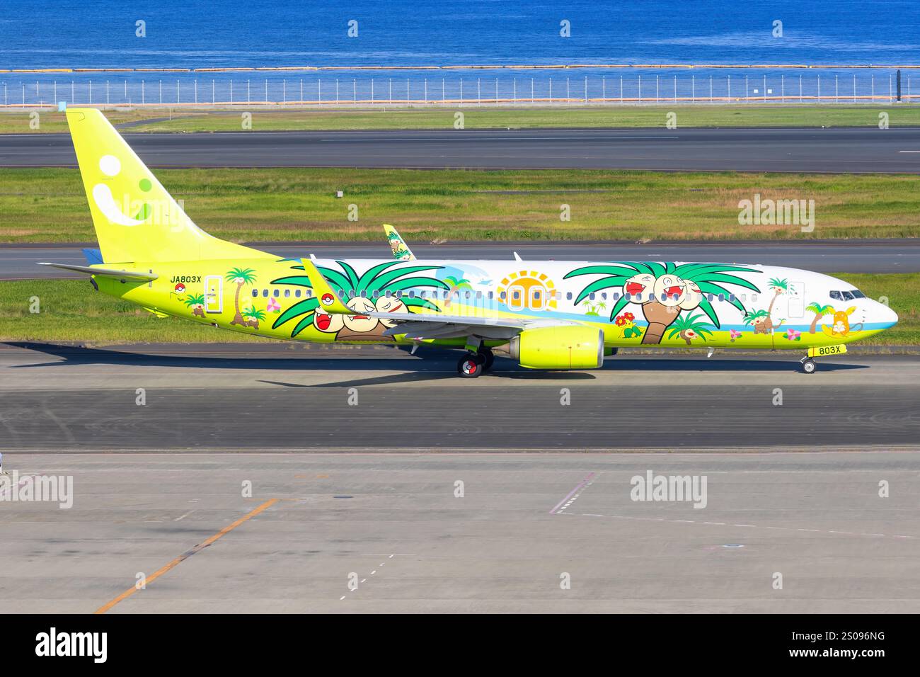 航空機・ヘリコプター Solaseed Air B737-800 Nassi Jet Solaseed Air 航空機・ヘリコプター Solaseed Air B737-800 Nassi Jet Solaseed Air