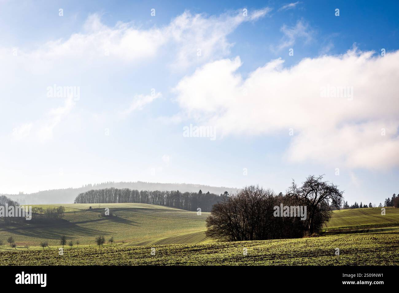 26.12.2024 Impression Herrliches Wetter am 2. Weihnachtsfeiertag im