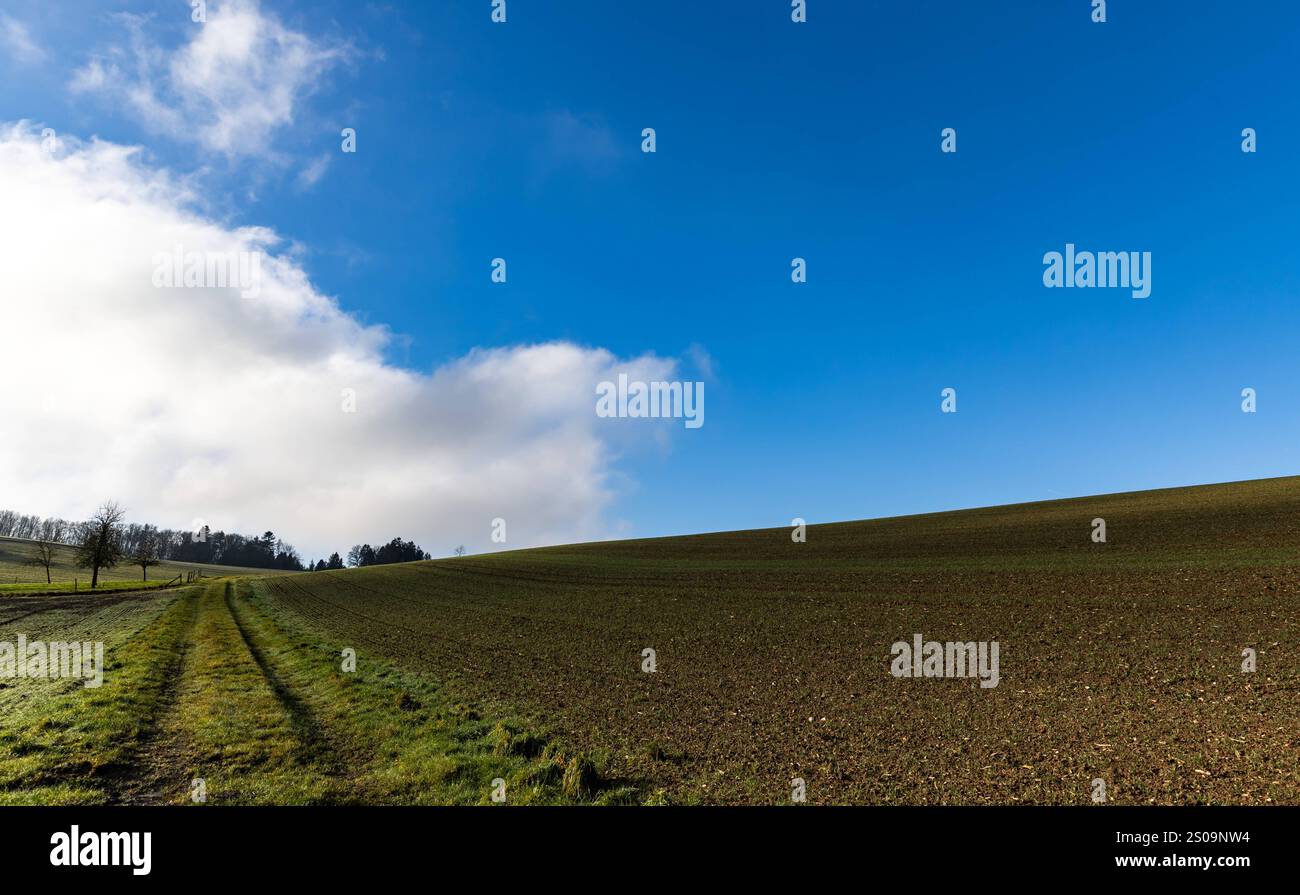 26.12.2024 Impression Herrliches Wetter am 2. Weihnachtsfeiertag im