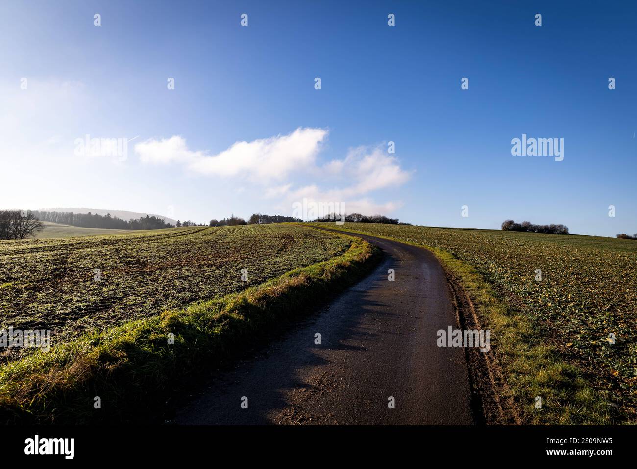 26.12.2024 Impression Ein Feldweg vor blauem Himmel. Herrliches