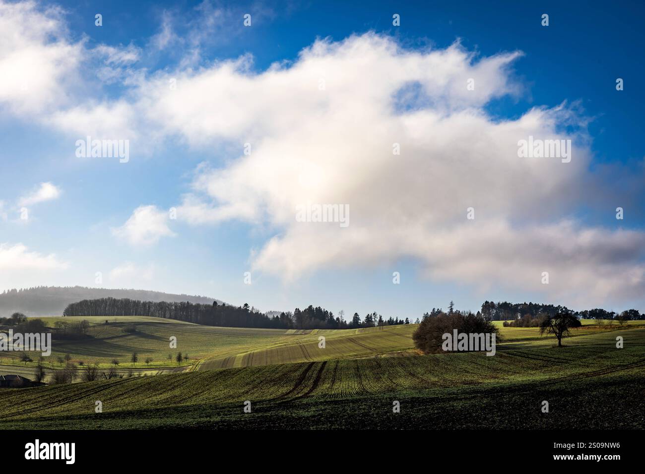 26.12.2024 Impression Herrliches Wetter am 2. Weihnachtsfeiertag im