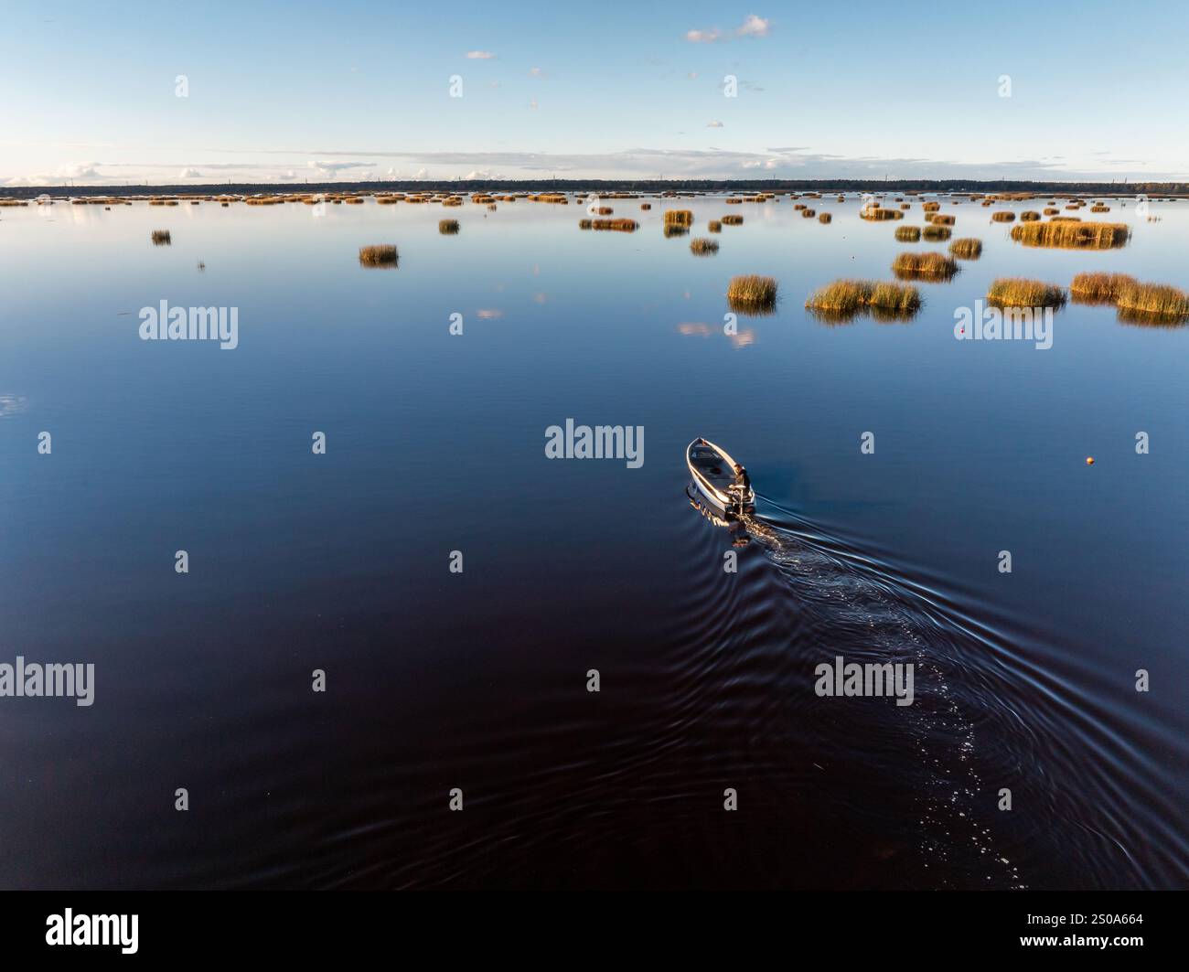 A small boat moves through calm water, creating ripples. Tall grass ...