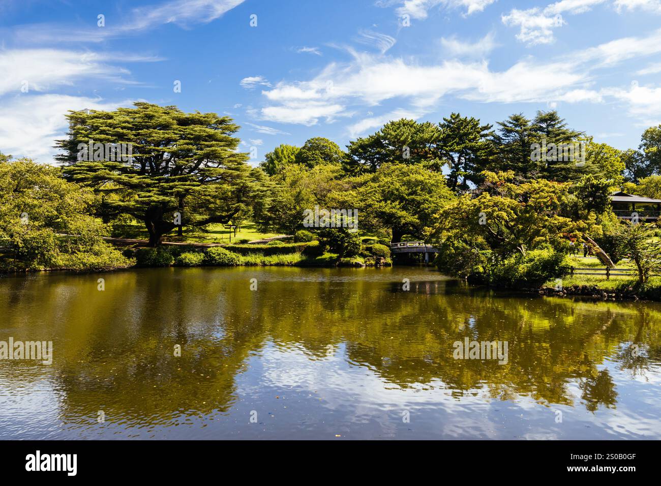 Shinjuku Gyoen National Garden in Tokyo Japan Stock Photo - Alamy