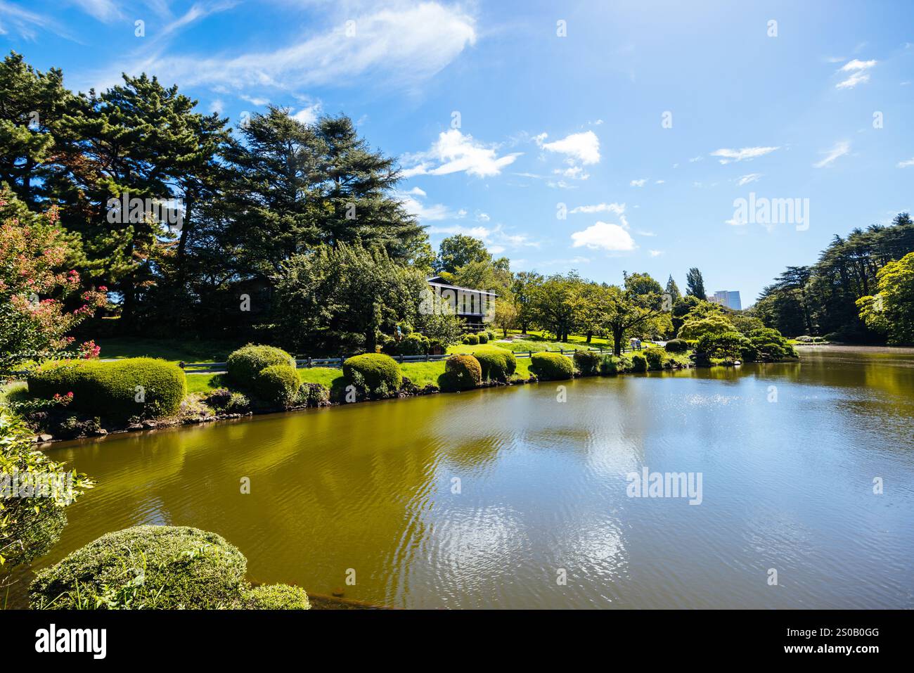 Shinjuku Gyoen National Garden in Tokyo Japan Stock Photo - Alamy
