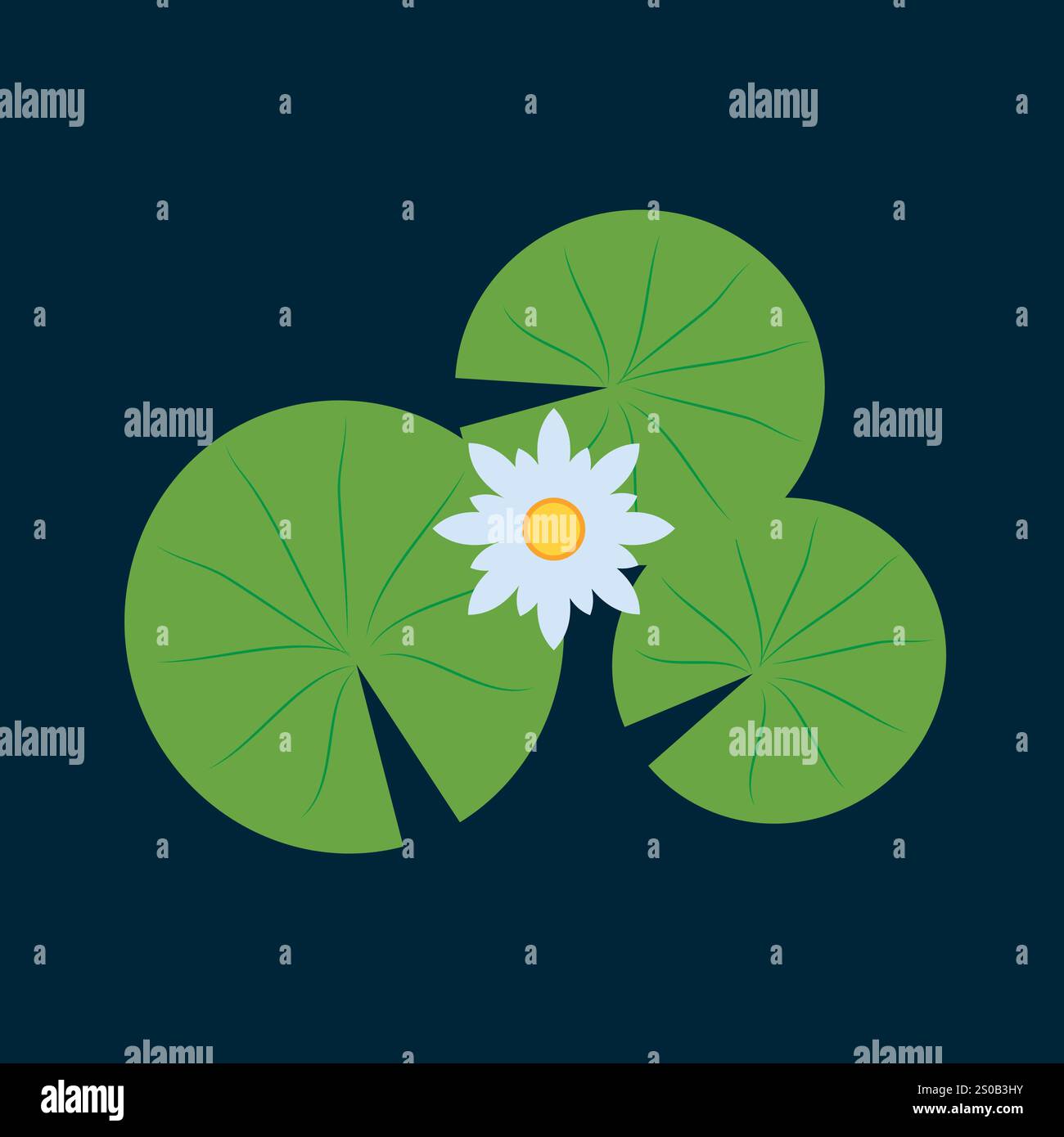 On lily pad Stock Vector Images - Alamy