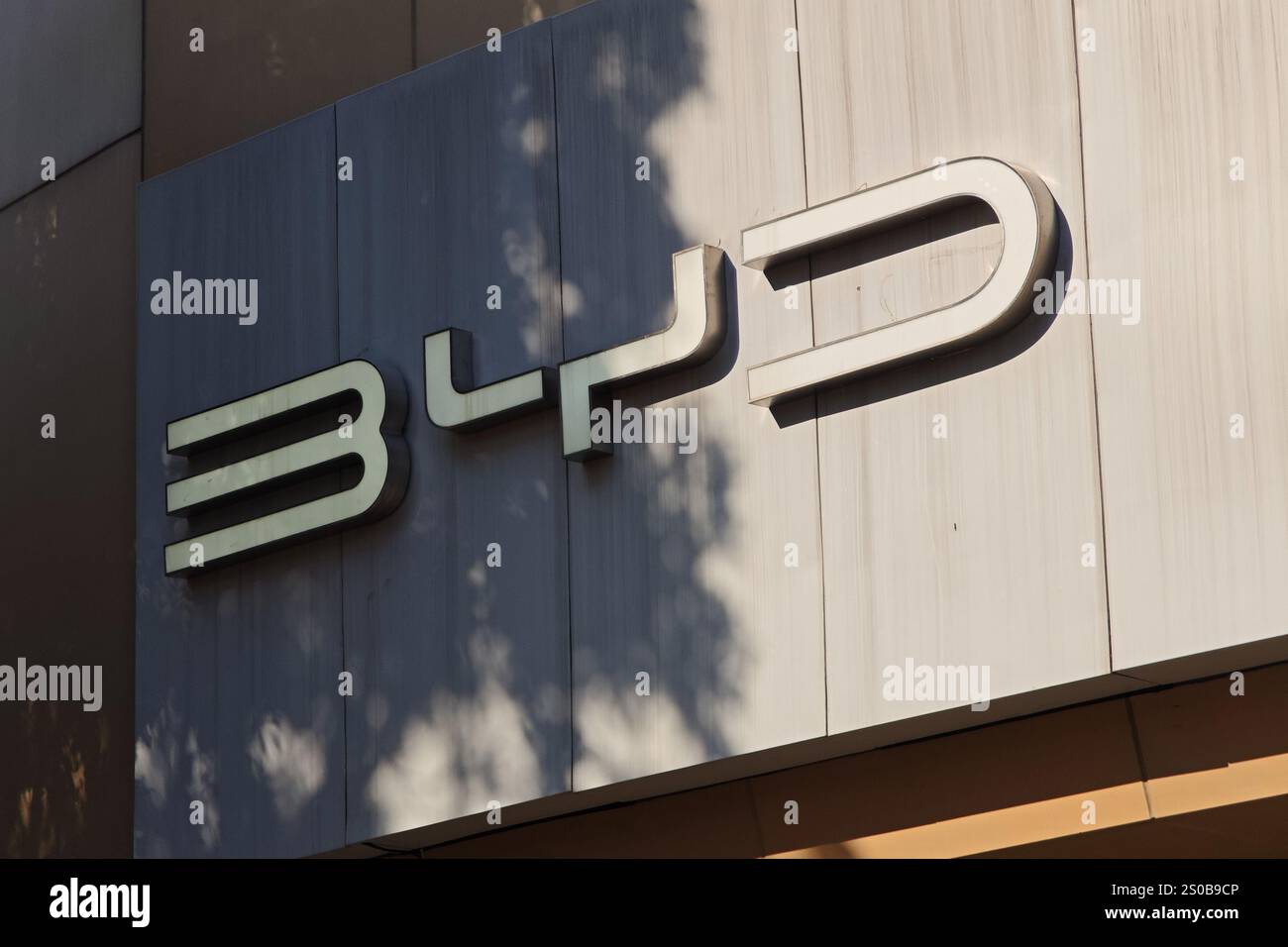 A BYD auto store in Pudong, Shanghai, China, December 27, 2024 Stock ...