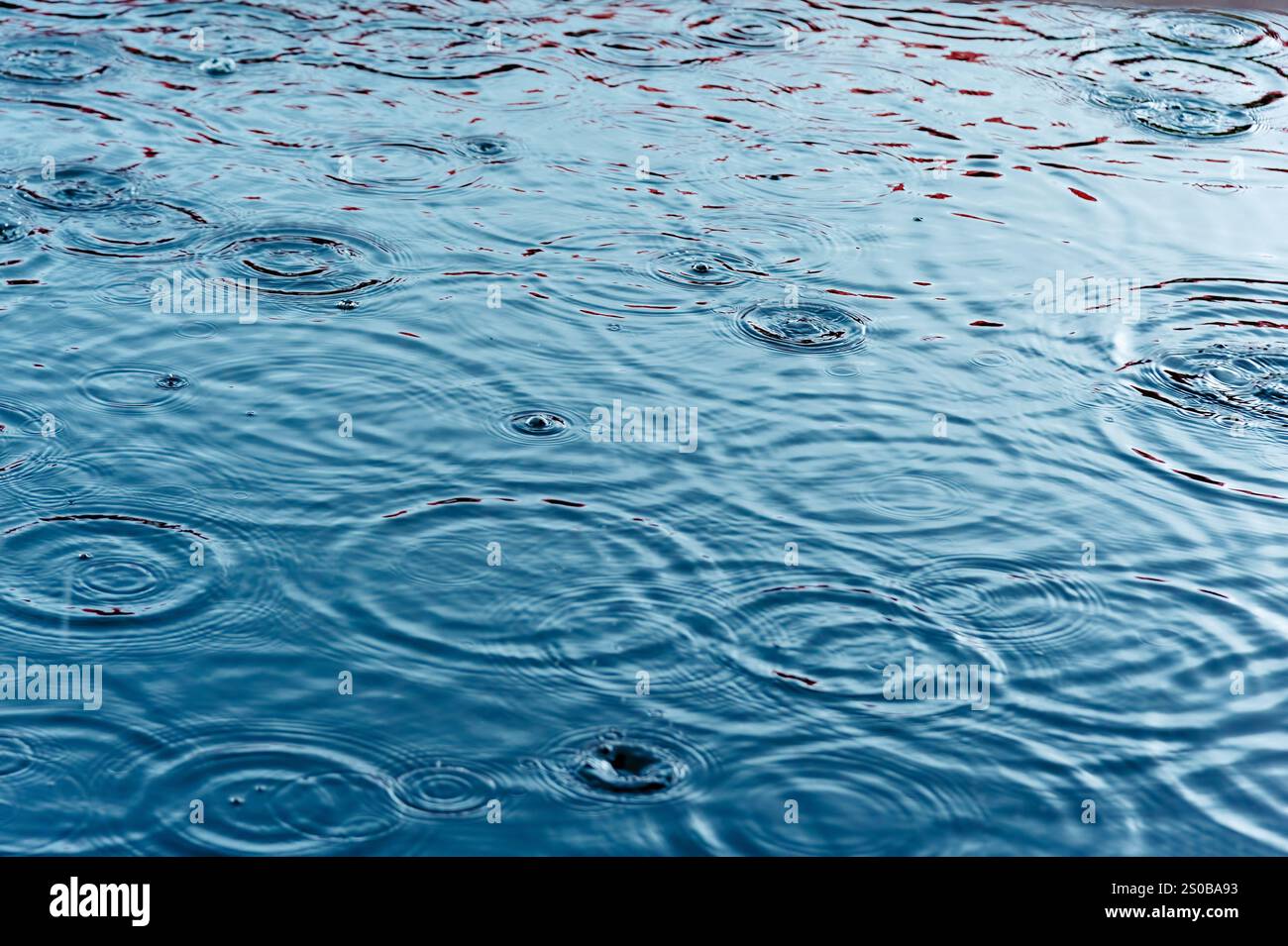 Rain Drops On The Surface Of Water In A Puddle With Graduated Shade Of 