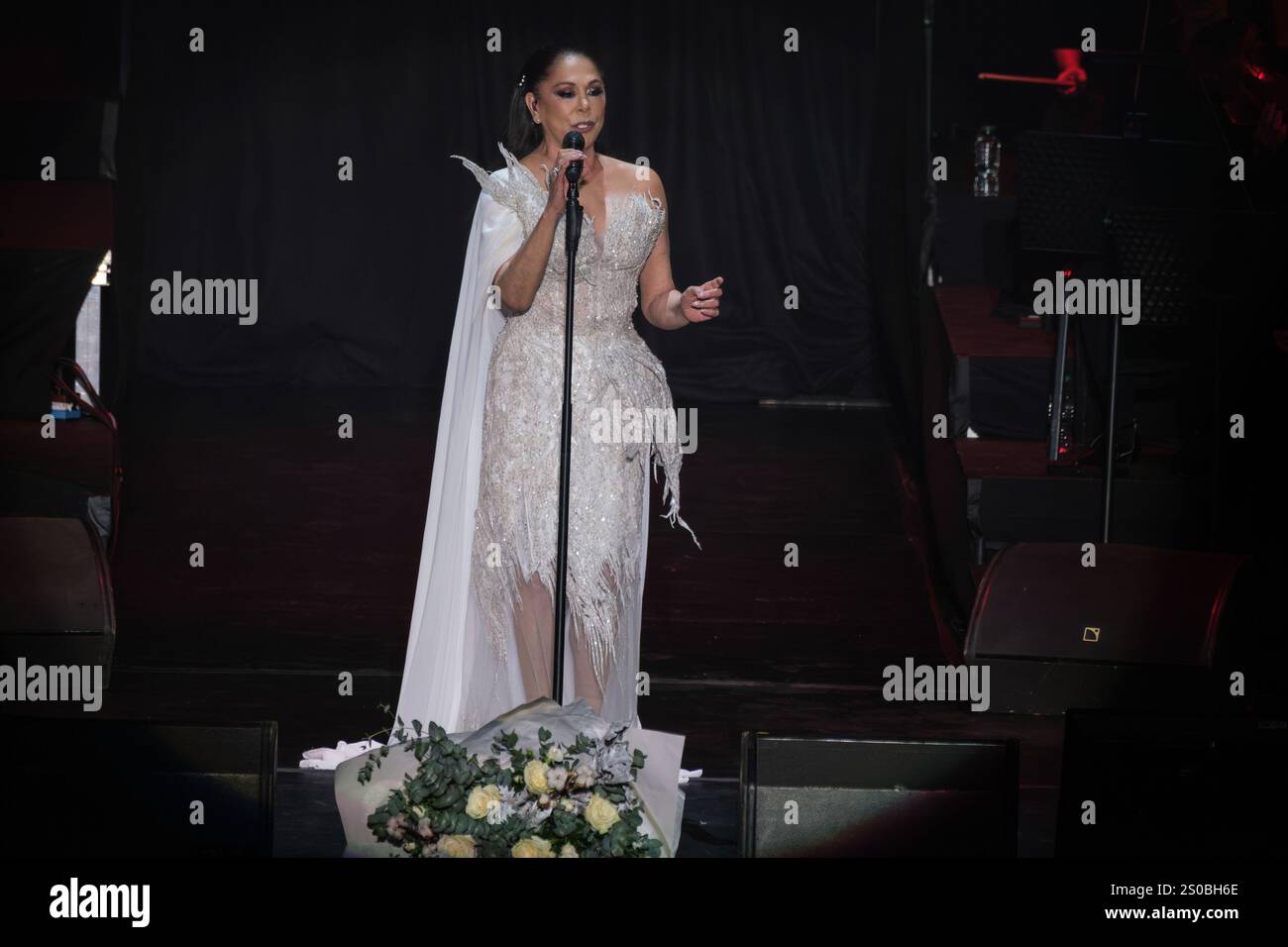 Madrid, Spain. 26th Dec, 2024. Isabel Pantoja performs in concert