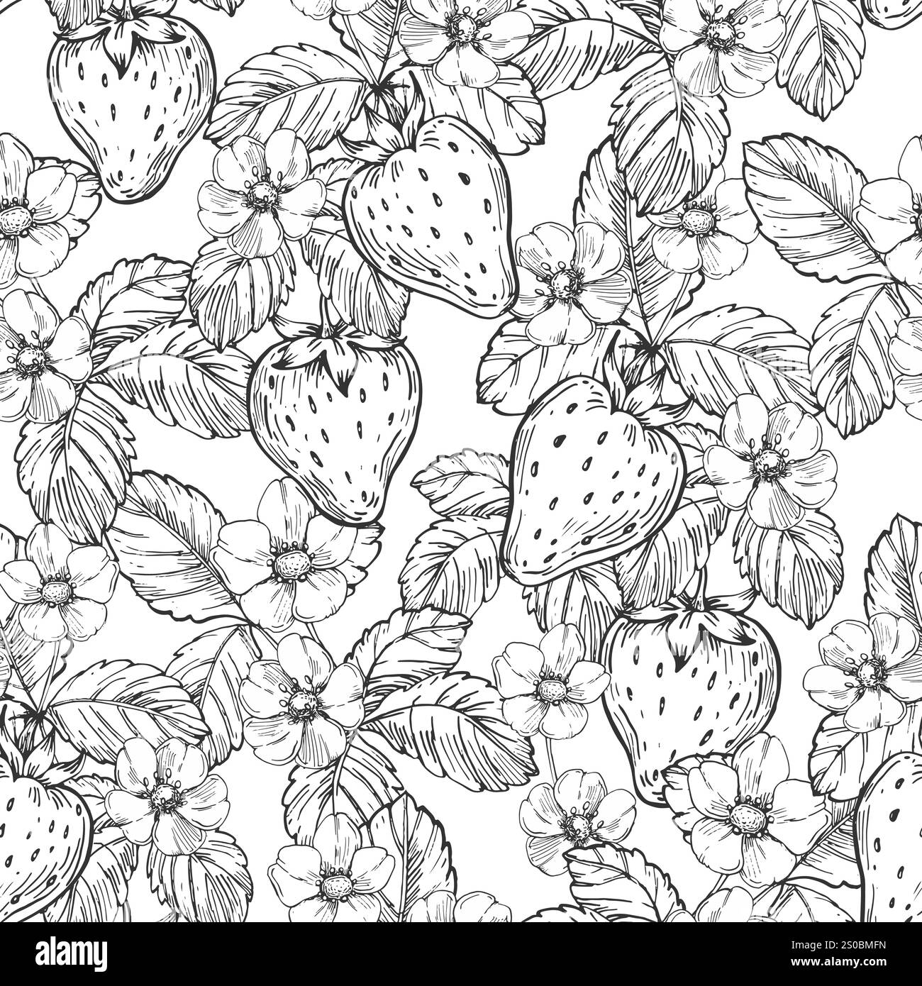 Strawberry vector black and white seamless pattern hand drawn with ink ...