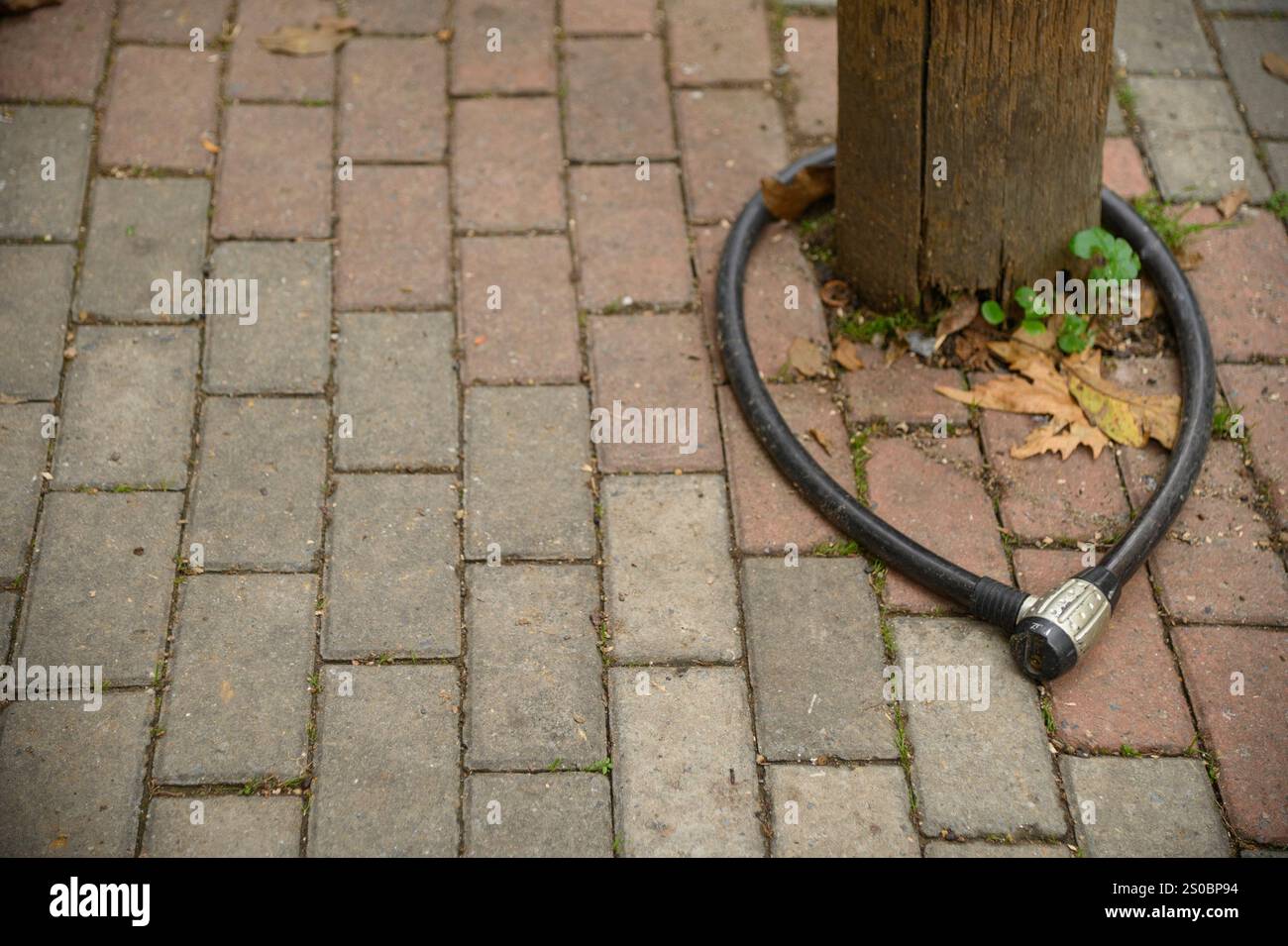 lock cable for motor or bike. Stock Photo