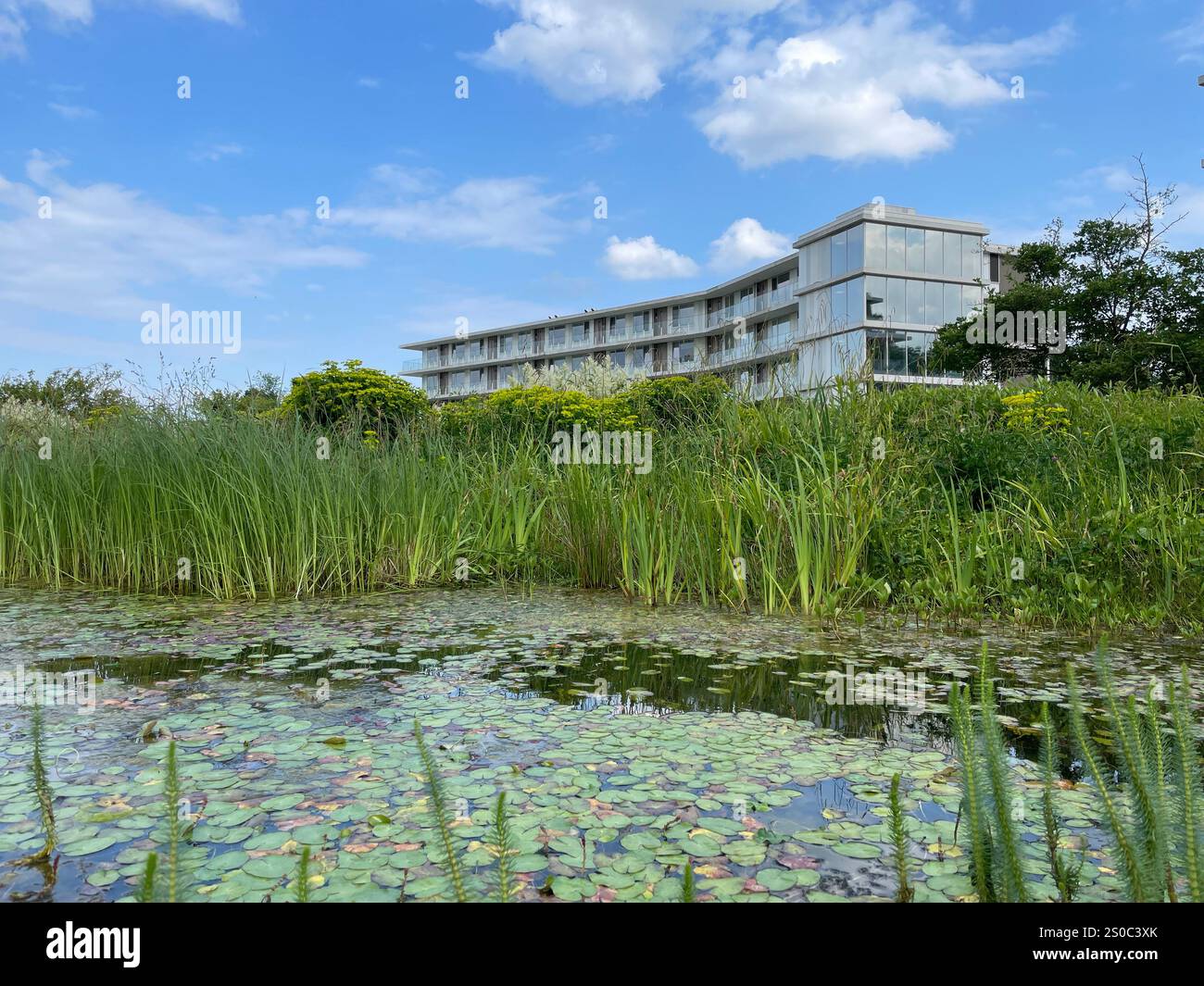 View of Urban green oasis for climate adaptation and biodiversity, city ...