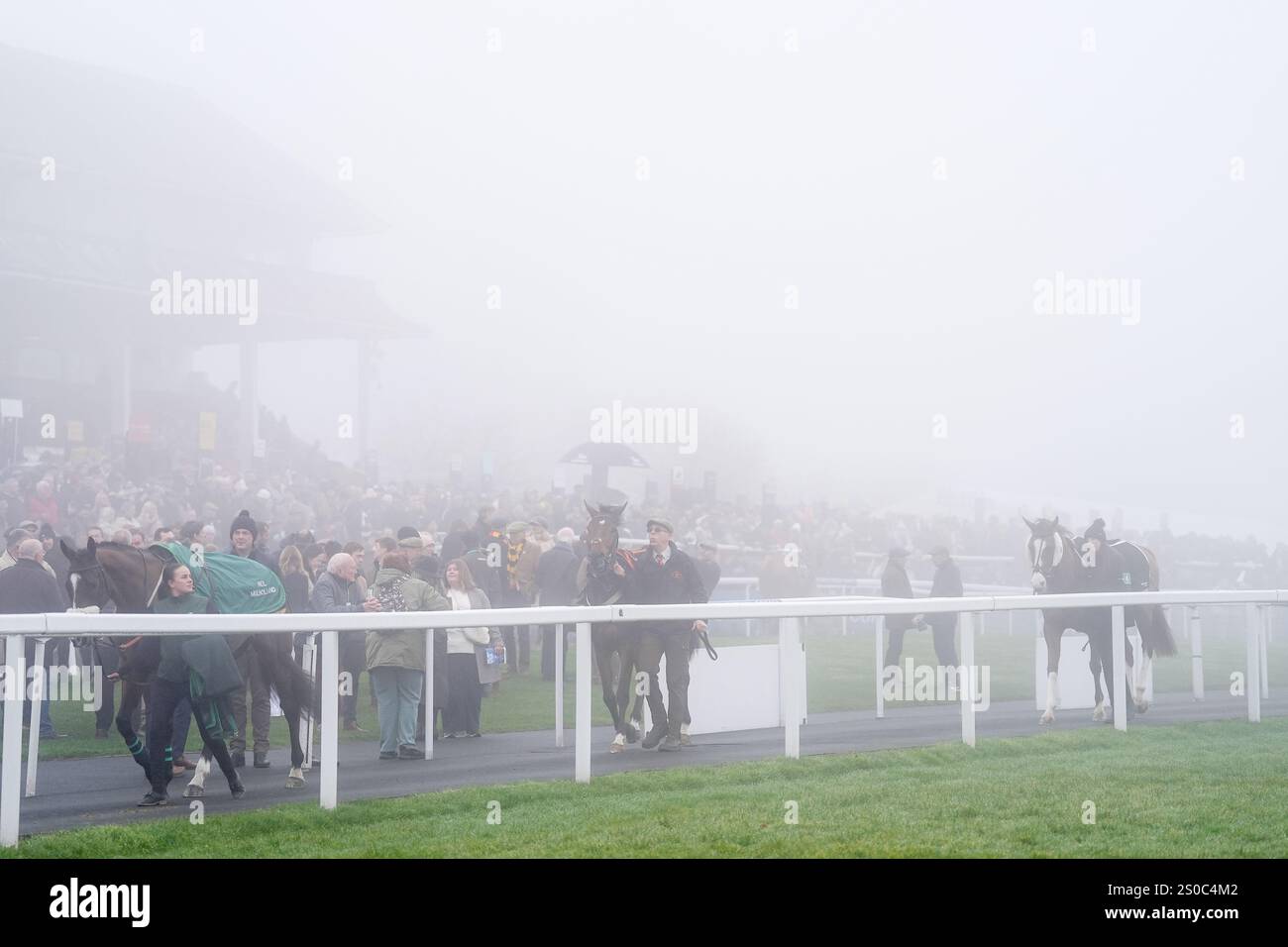 Horses in the parade ring as heavy fog surrounds them during The Coral