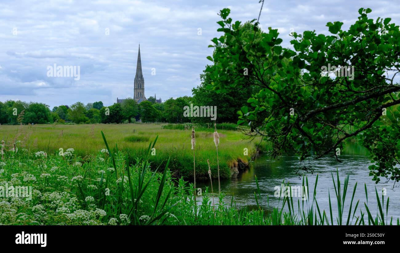 Salisbury, UK - June 11, 2024: Salisbury Cathedral across the River ...