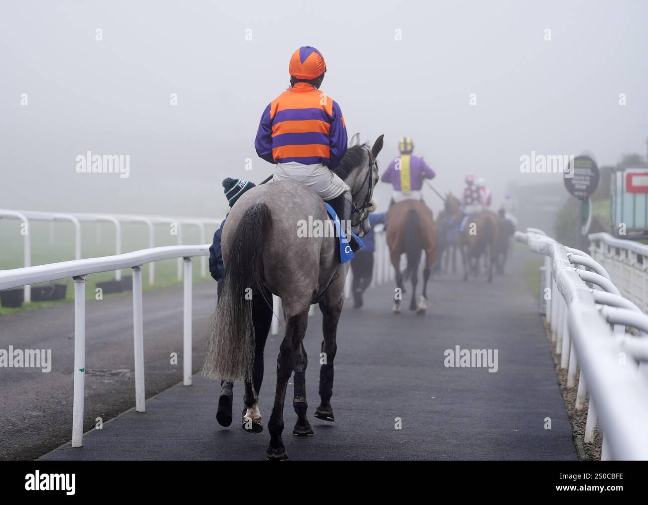 Runners and riders head out for the Coral 'Daily Rewards Shaker